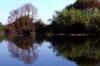 The Little Balaton is a nature reserve