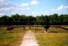 The memorial Satorhely close to Mohcs